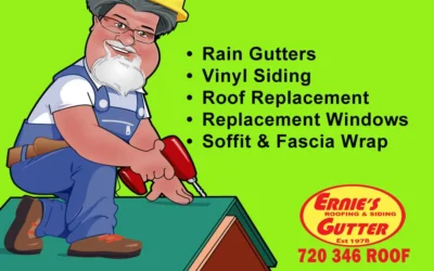 Roof Repair Shingles and Vents