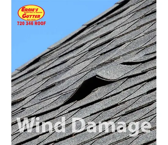 Roofing Contractor in Littleton Co Roofing Contractor in Littleton Co