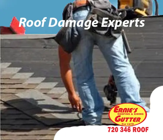 Roof Damage Experts