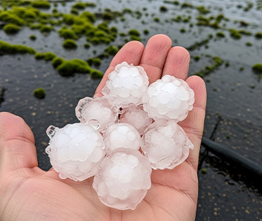 Storm-and-Hail-Damage